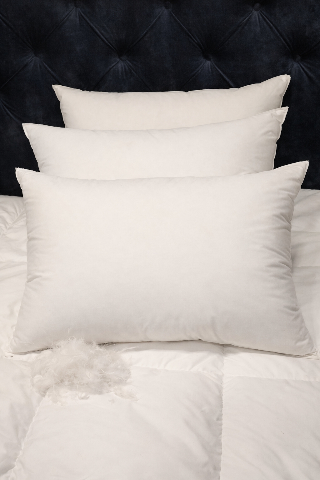 Oreillers en duvet
